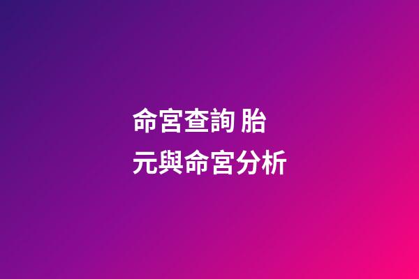 命宮查詢 胎元與命宮分析